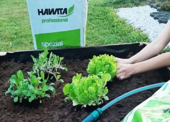 Kvalitetan supstrat jamči uspješan uzgoj povrtnica i cvijeća