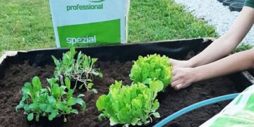 Kvalitetan supstrat jamči uspješan uzgoj povrtnica i cvijeća