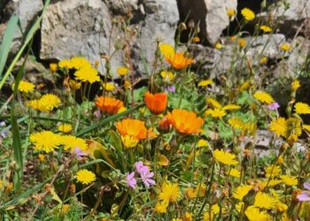 U srijedu je proljetna ravnodnevnica i prvi dan proljeća