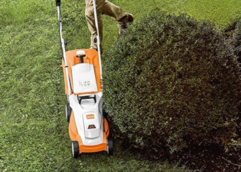 Pravilnom košnjom do lijepog travnjaka