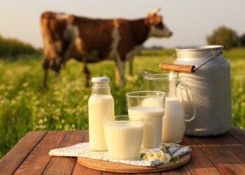 Kakvo mlijeko pijemo?