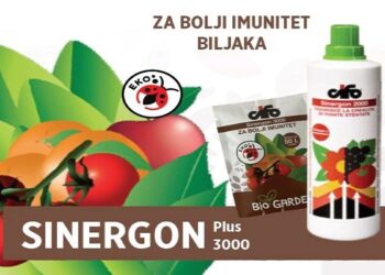 Kako umanjiti štete od niskih temperatura na biljkama?