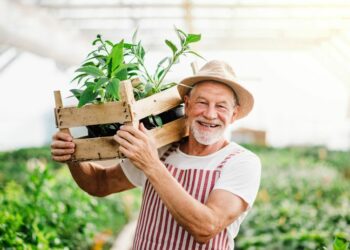 Tko sve može raditi nakon odlaska u mirovinu?