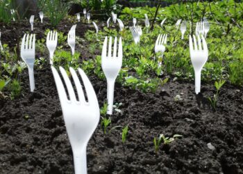 Kućni ljubimci vam uništavaju biljke u vrtu? Evo jedne efikasne metode da ih spriječite u tome