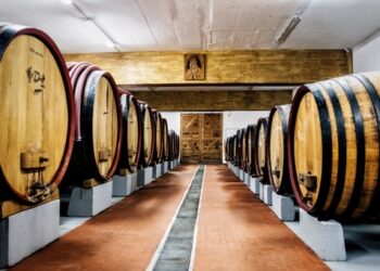 Syrah Andrija potvrdio svoju kvalitetu i na Decanteru