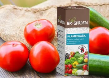 Prirodnom zaštitom do zdravih i ukusnih plodova povrća