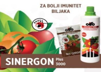 Biljne aminokiseline kao lijek protiv vremenskih neprilika