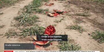 Uzgajivaču iz Opuzena ukrali čak dvije i pol tone lubenica