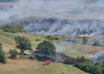 Vatrogasci se cijeli dan i proteklu noć borili s požarima