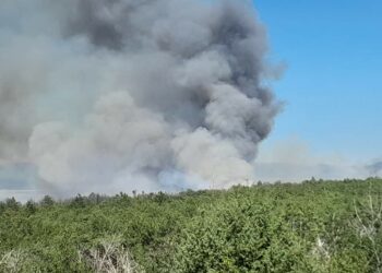 Požar u Dobrom Selu pod kontrolom, gori jedan manji krak kod bazena Crvenog mulja