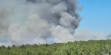 Požar u Dobrom Selu pod kontrolom, gori jedan manji krak kod bazena Crvenog mulja