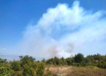 Požar se iz Dobrog Sela i Sretnica proširio i na Krivodol