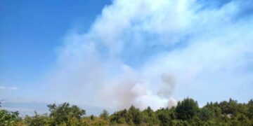 Požar se iz Dobrog Sela i Sretnica proširio i na Krivodol
