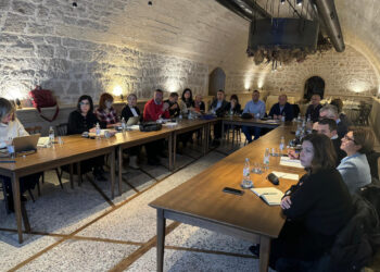 Ustrojavanje Županijske radne skupine za potporu u popunjavanju aplikacije za fond solidarnosti EU-a