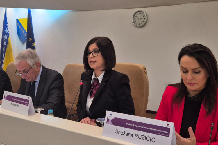 Marija Buhač: Reformom javne uprave moramo vratiti povjerenje mladih ljudi