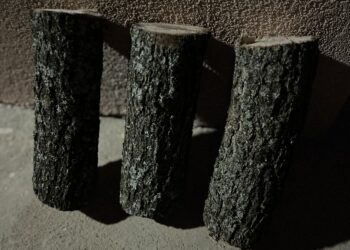 Na dobro vam došla Badnja večer – običaji vezani za dan pripreme i iščekivanja