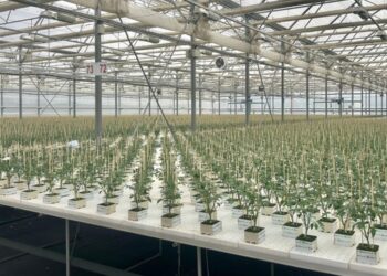 Oglas za posao: Adria Hishtil d.o.o.