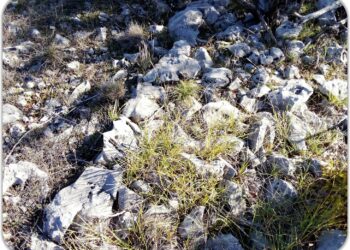 Senzacija kod Međugorja – otkrivena najstarija kamena cesta u Europi