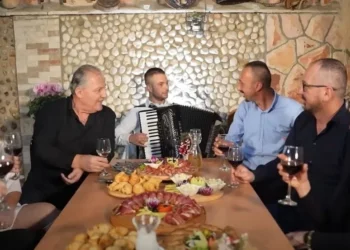 Pjesma Sinova Hercegovine i Joze Vučića za nepunih mjesec dana ima gotovo 50.000 pregleda