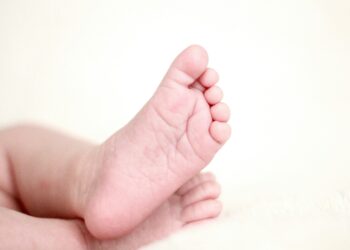 FBiH: U 2024. godini negativan prirodni priraštaj, samo jedna županija zabilježila pozitivan priraštaj