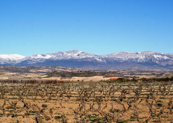 Preporuka za vinogradare