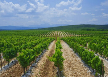 Obavijest o županijskim potporama: Usvojen Program i donesen Naputak za 2025. godinu