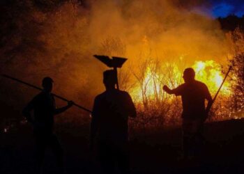 Požar u Ljubuškom: Vatra zahvatila preko 50 hektara, brane se kuće