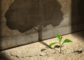 Odabrani najbolji radovi Tropletova literarnog natječaja za 2025.godinu