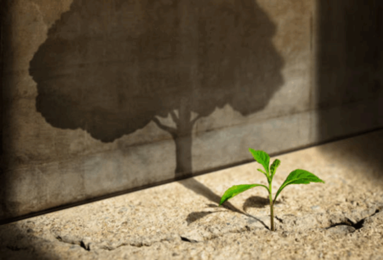 Odabrani najbolji radovi Tropletova literarnog natječaja za 2025.godinu