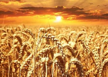 PREDSJEDNICI VLADA HNŽ-A I ZHŽ-A U POSJETU VLADI ŽUPANIJE POSAVSKE