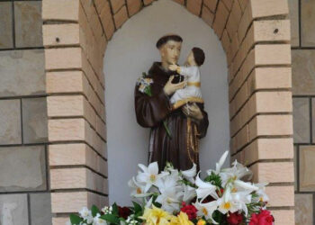 Najava: Sveta misa i pučko veselje na Antinu bunaru (Trtle) – 19.lipnja 2025. u 13h