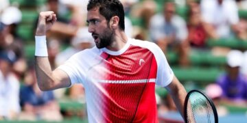 Marin Čilić napredovao na ATP ljestvici