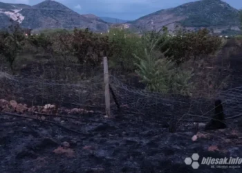U požaru u Mostaru izgorjelo 400 stabala trešnje i 100.000 sadnica smilja