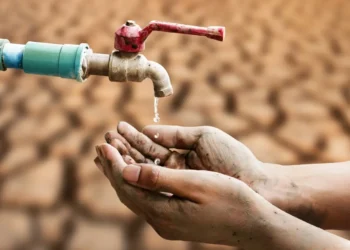 Više od mjesec dana bez kiše: Poljoprivrednici u Hercegovini na mukama zbog suše