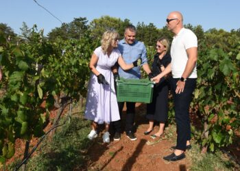 Blaž Enology 2025: Održana “Diplomatska berba grožđa”