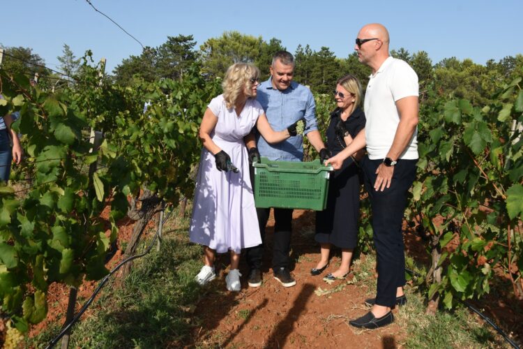 Blaž Enology 2025: Održana “Diplomatska berba grožđa”