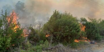 Ugašen požar u Neumu – “Helikopter i kiša su zakasnili, ali ljudi nisu”