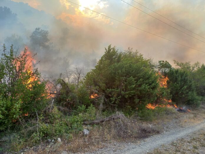 Ugašen požar u Neumu – “Helikopter i kiša su zakasnili, ali ljudi nisu”