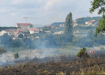 Požar u Čitluku: Izbio požar u šumi Crvenica – Vatrogasci spriječili širenje