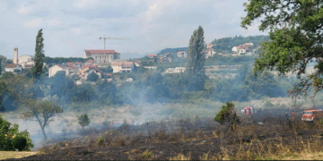 Požar u Čitluku: Izbio požar u šumi Crvenica – Vatrogasci spriječili širenje