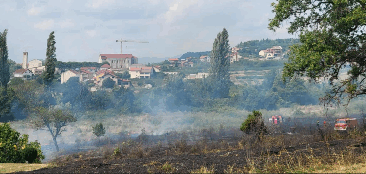 Požar u Čitluku: Izbio požar u šumi Crvenica – Vatrogasci spriječili širenje