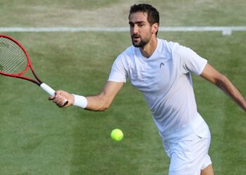 Marin Čilić napredovao na ATP ljestvici