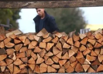 Skuplje grijanje i ove zime: Drva, pelet i briketi skuplji i do 20%
