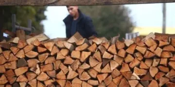 Skuplje grijanje i ove zime: Drva, pelet i briketi skuplji i do 20%