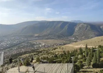 Pošumljavanje opožarenih površina: Na Fortici planirana sadnja 2.000 stabala