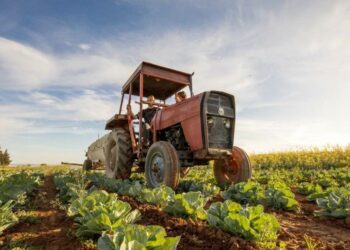 Za godinu dana u BiH uvezeno hrane od čak 4,9 milijardi KM