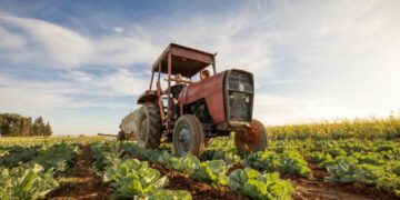 Za godinu dana u BiH uvezeno hrane od čak 4,9 milijardi KM