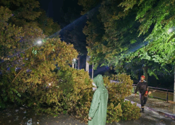 Nevrijeme u Čapljini: Vjetar lomio stabla, oštećeni automobili