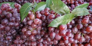 Strože kontrole uvoza voća: Inspektori analiziraju grožđe, mandarine i breskve