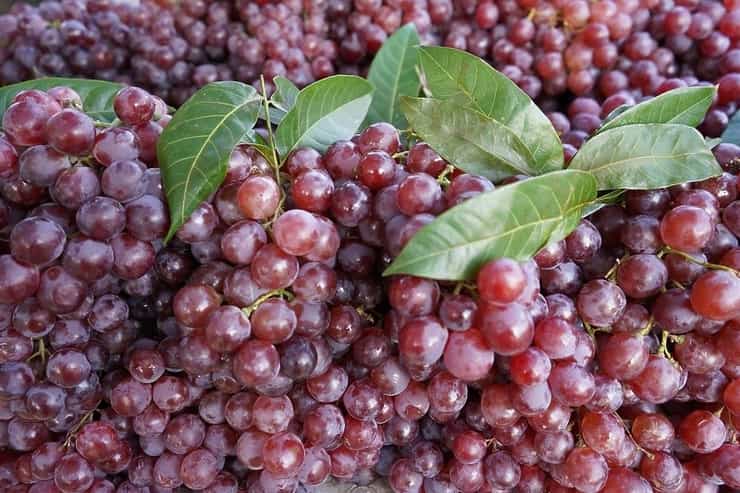 Strože kontrole uvoza voća: Inspektori analiziraju grožđe, mandarine i breskve